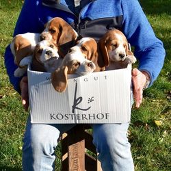 Kösterhof Foto von Mann mit vielen Hundewelpen auf dem Schoss