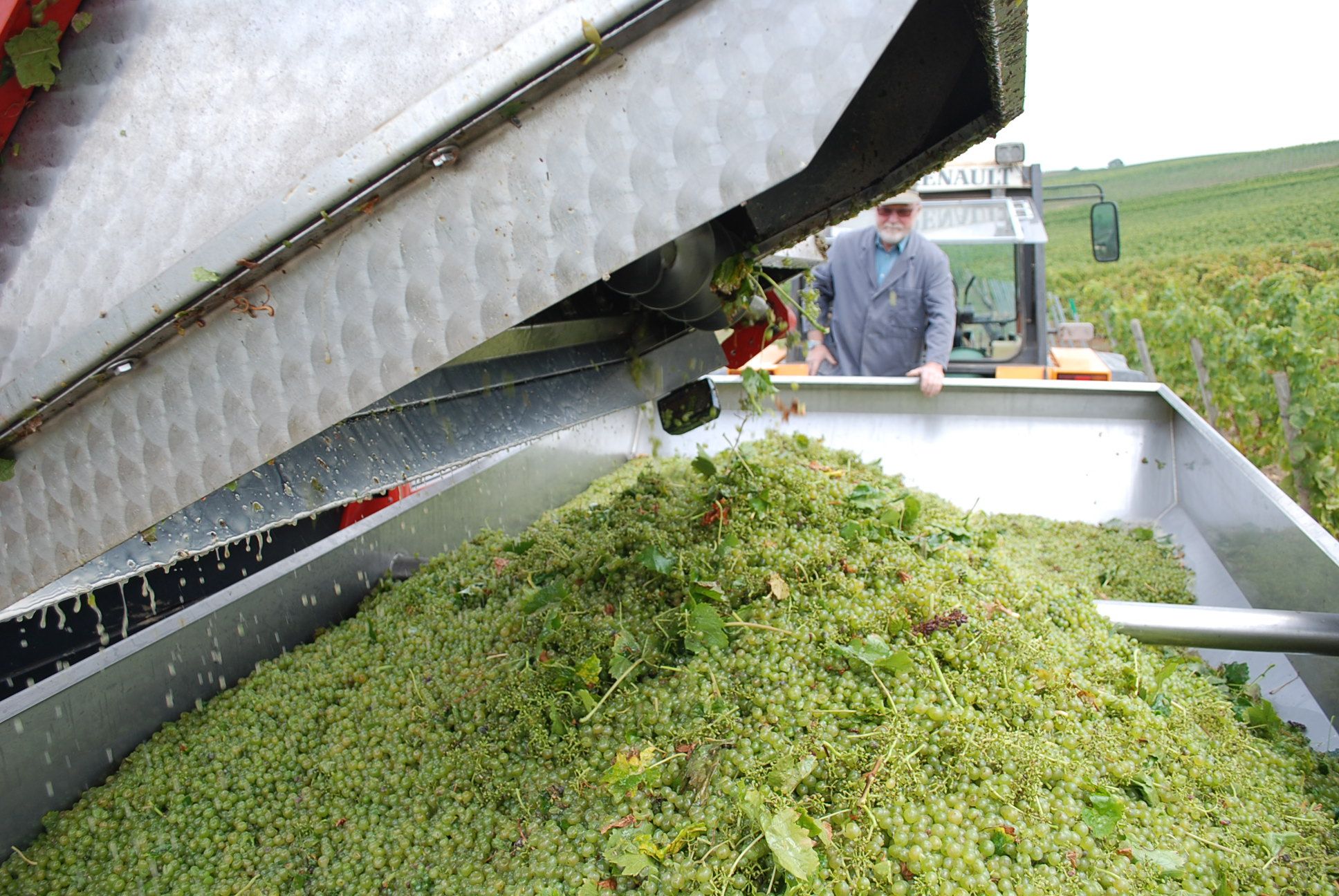 Kösterhof Foto von Weinlese Anhänger Trauben Mann 