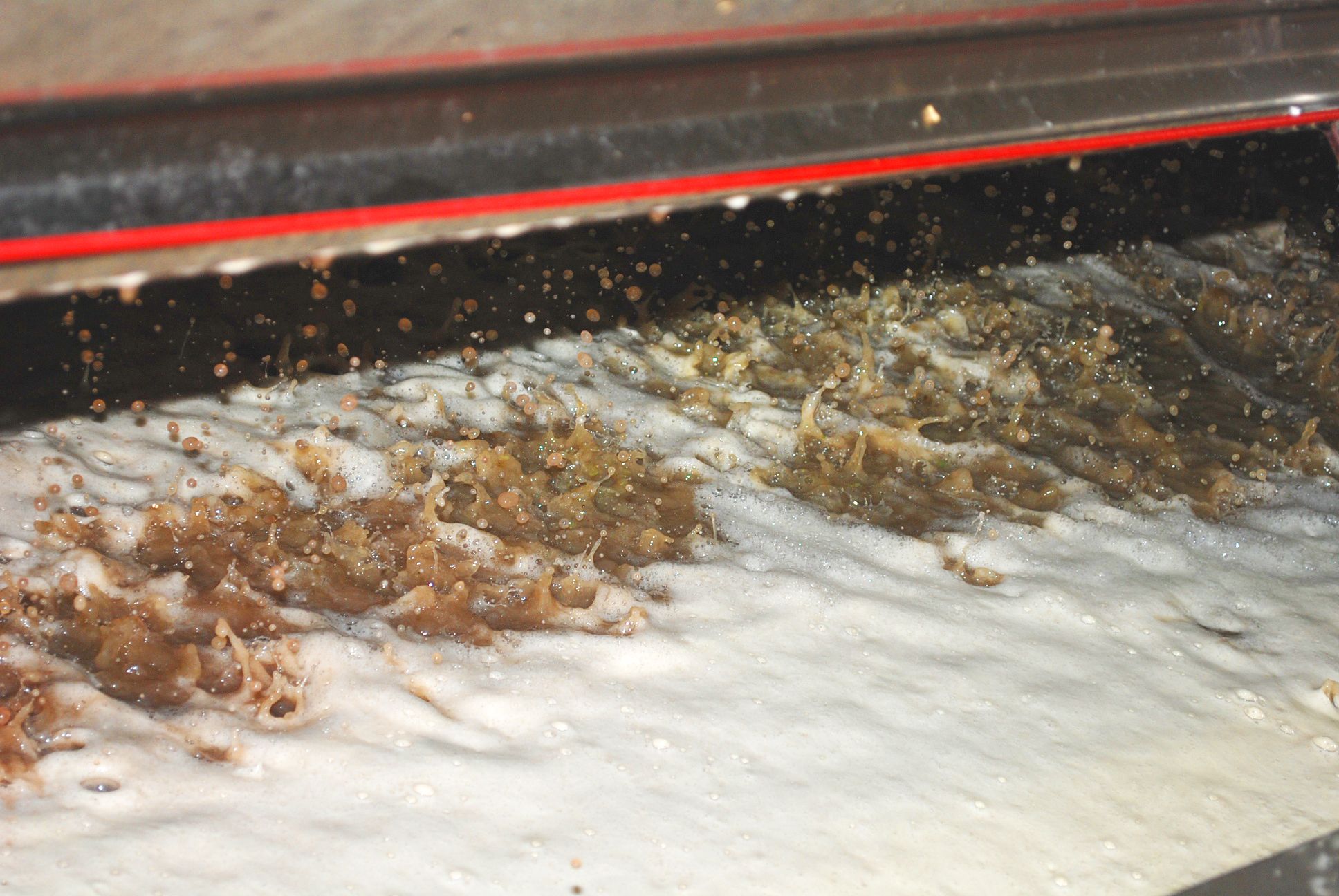Kösterhof Foto vom Keltern Saft Presse