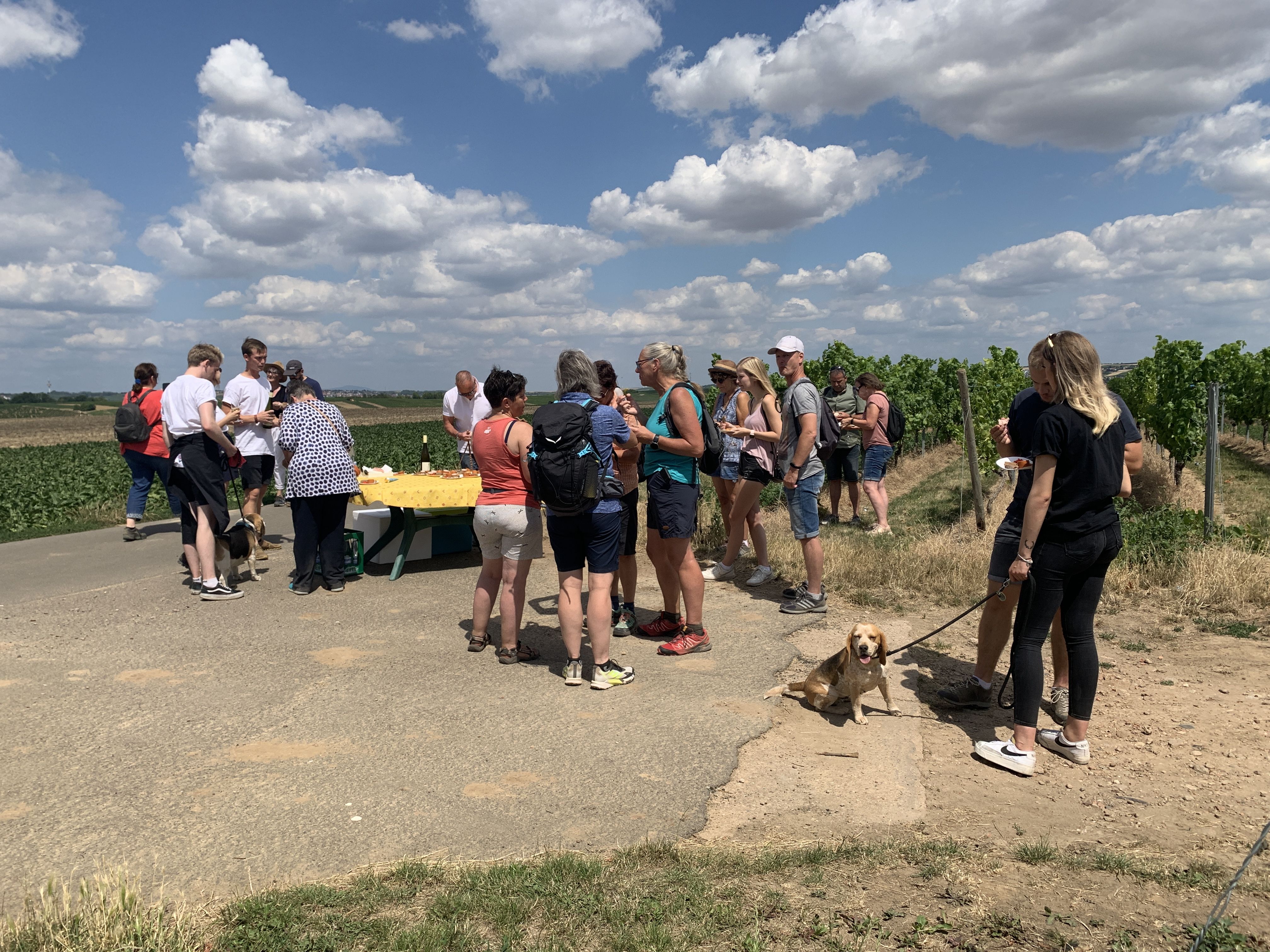 Kösterhof Foto von Weinwanderung Gruppe beim Essen